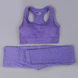 Seamless Yoga Fitness High Waist Set Outfits