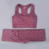 Seamless Yoga Fitness High Waist Set Outfits
